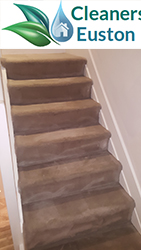 carpet cleaners in euston