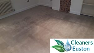 carpet cleaning euston